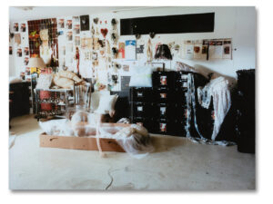 Mari Katayama. Synthesis