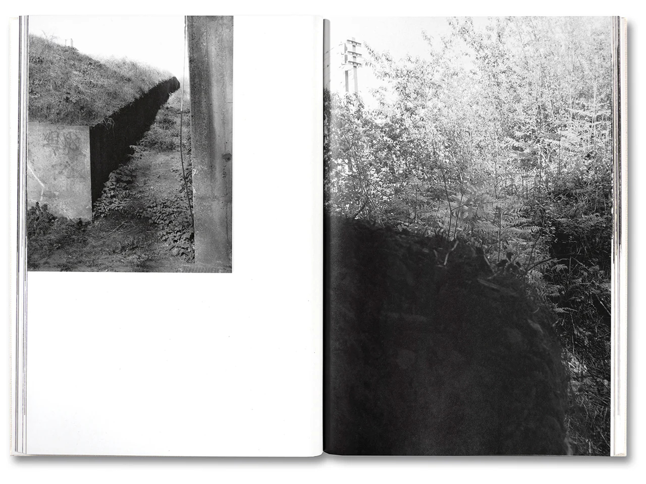 Raymond Meeks. George Weld. The Inhabitants — изображение 9