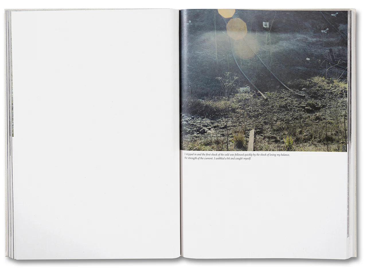 Raymond Meeks. George Weld. The Inhabitants — изображение 10