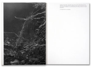 Raymond Meeks. George Weld. The Inhabitants