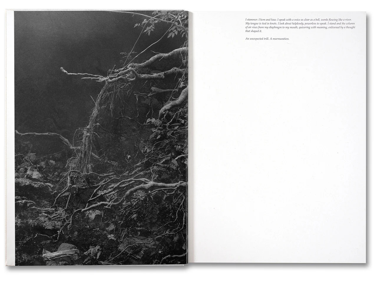 Raymond Meeks. George Weld. The Inhabitants — изображение 2