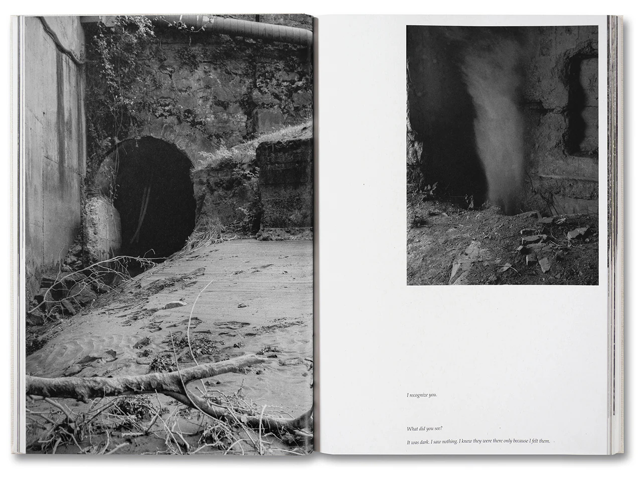 Raymond Meeks. George Weld. The Inhabitants — изображение 4