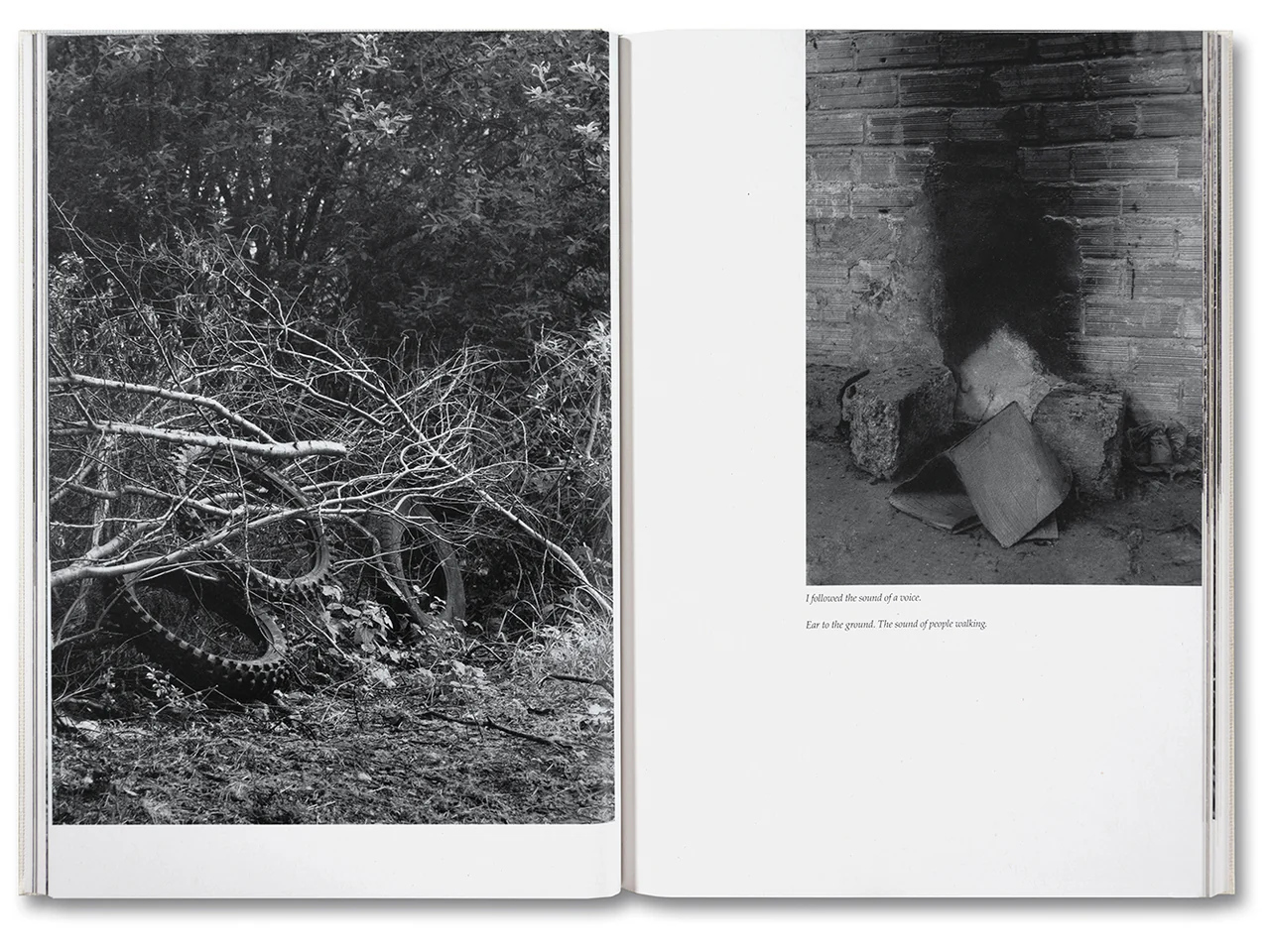 Raymond Meeks. George Weld. The Inhabitants — изображение 5