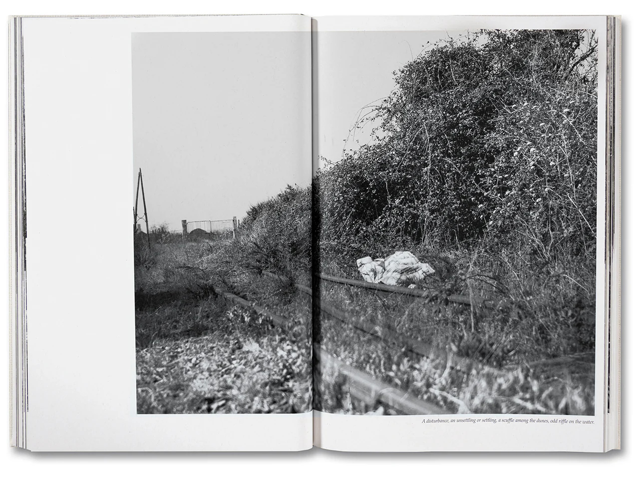 Raymond Meeks. George Weld. The Inhabitants — изображение 6