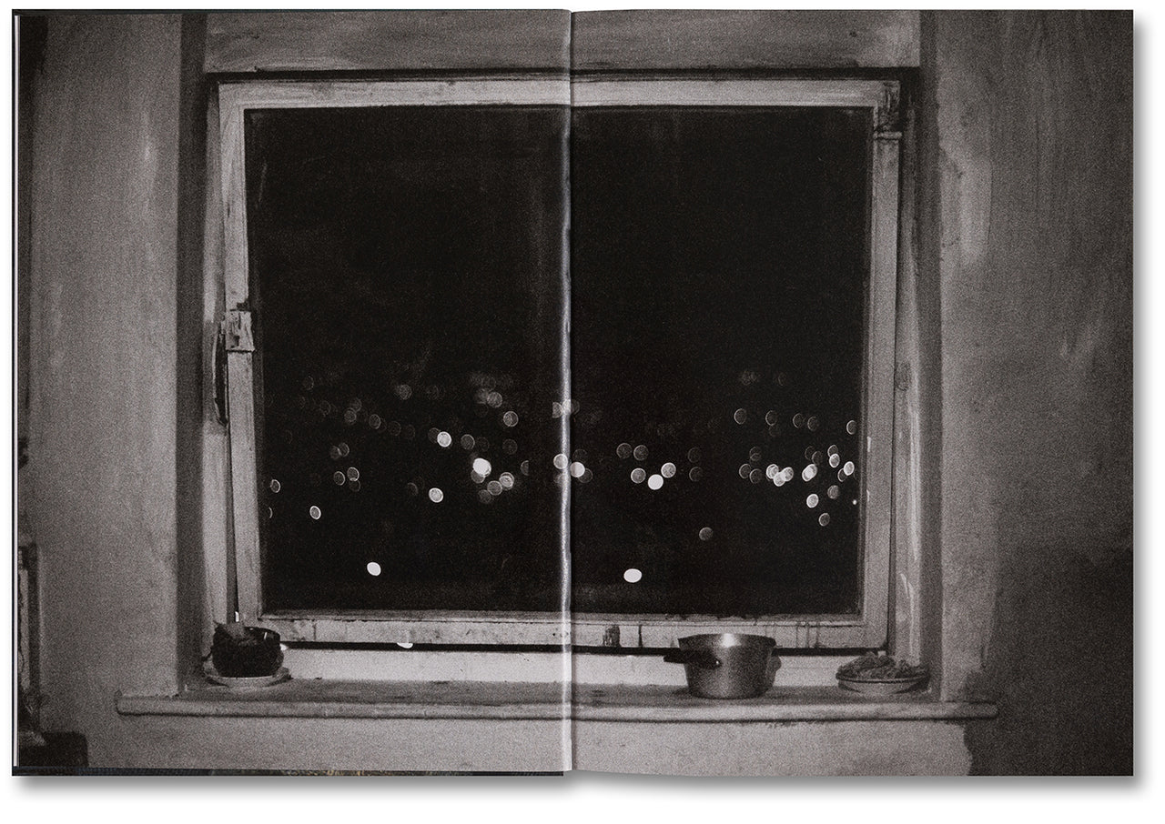 Richard Billingham. Ray's a Laugh — изображение 2