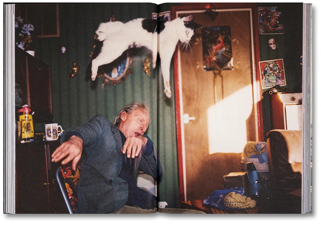 Richard Billingham. Ray's a Laugh — изображение 10