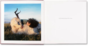 Alessandra Sanguinetti. The Adventures of Guille and Belinda and The Enigmatic Meaning of Their Dreams