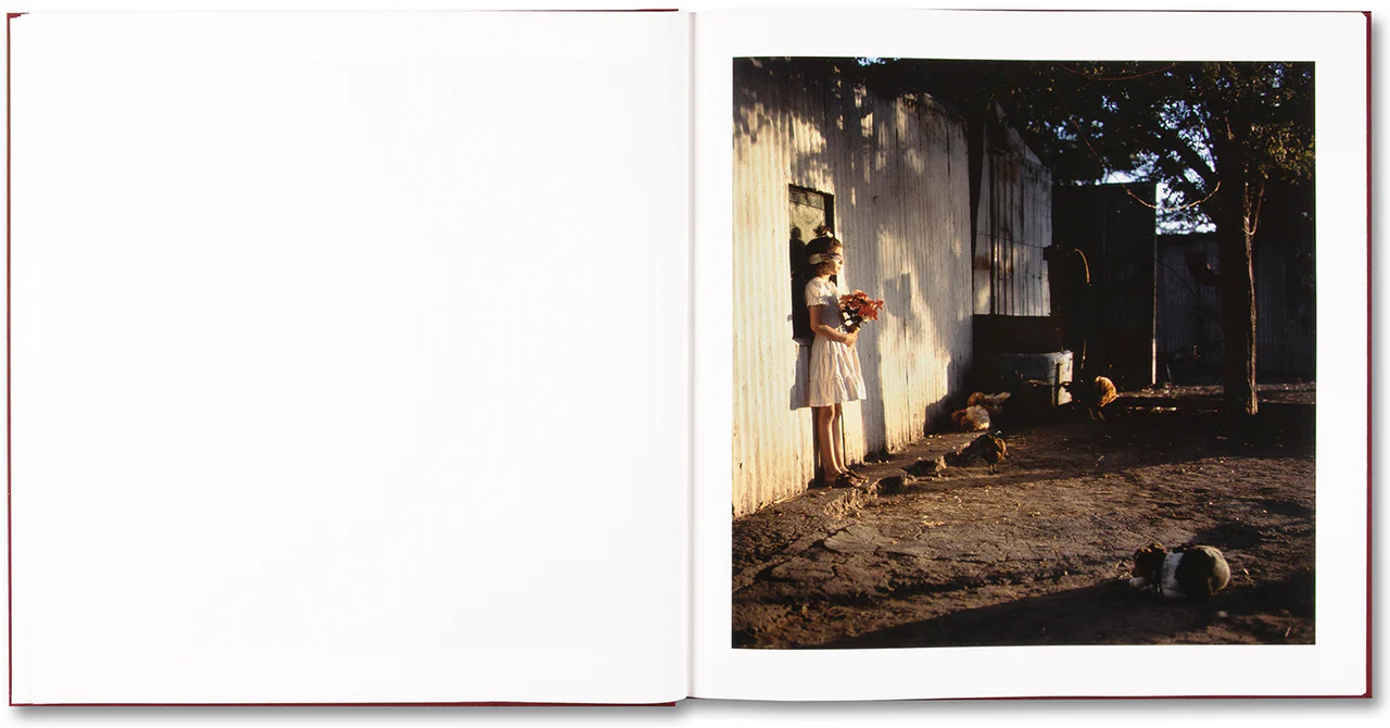 Alessandra Sanguinetti. The Adventures of Guille and Belinda and The Enigmatic Meaning of Their Dreams — изображение 6