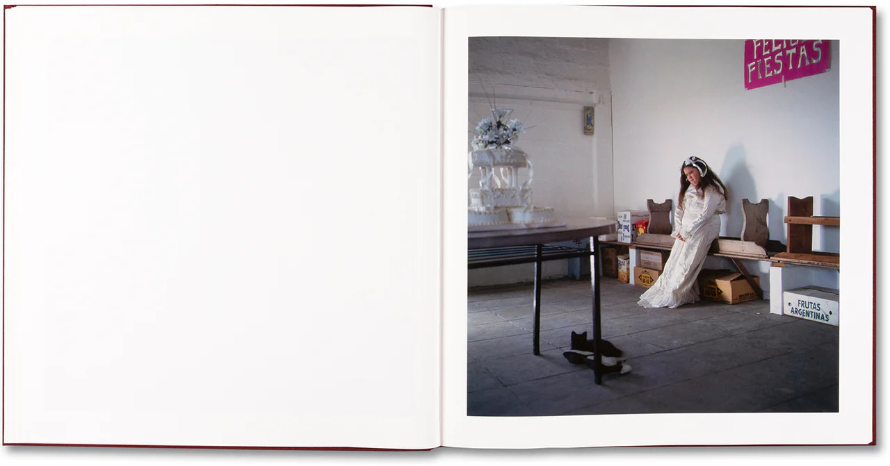 Alessandra Sanguinetti. The Adventures of Guille and Belinda and The Enigmatic Meaning of Their Dreams — изображение 7
